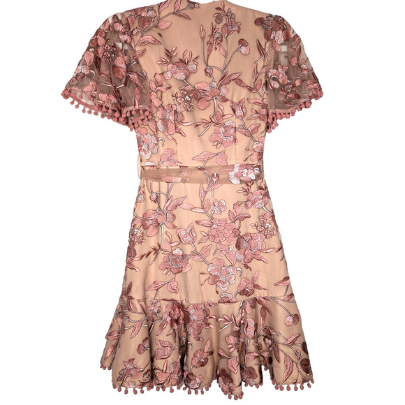 Two Sisters Pink Embroidered Floral Coquette Fairy Sheer Lace Ruffle Mini Dress - Picture 3 of 15